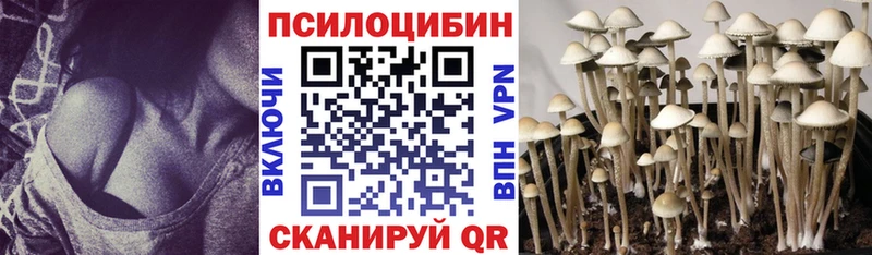 где можно купить нарко площадка какой сайт Галлюциногенные грибы Magic Shrooms Ахтубинск