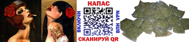 Конопля OG Kush  где купить   Ахтубинск 